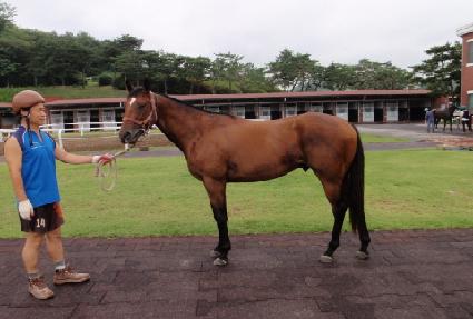 Ŀ��Ÿ�� ����