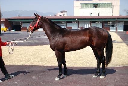 �ٸ� ����