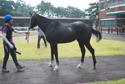 �����ŷ��� ����