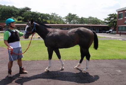 �ܵ�𿡰� ����