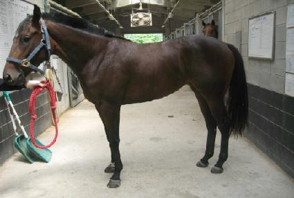 ���ʴ� ����