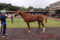 ������� (EONEU SUNGAN) ����