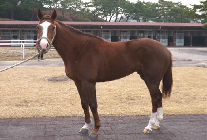 ������ ����