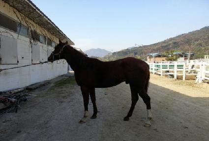 ������ ����