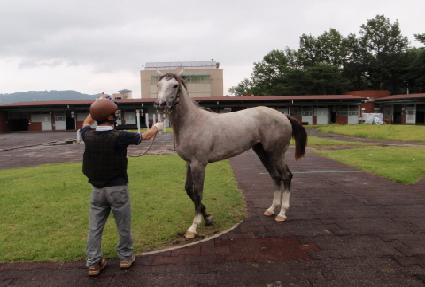 ���� ����