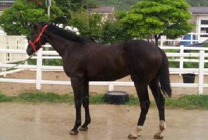 ���̽����� ����