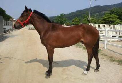 �ް����� ����