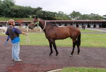 ���� (CHUNCHU) ����