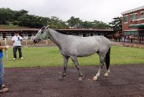 û�� (CHEONGBAEK) ����