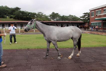 û�� ����