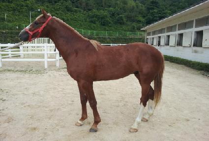 õ������� ����