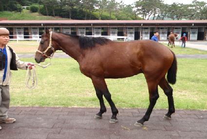 ����è�Ǿ� ����