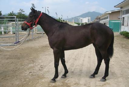 �������� ����