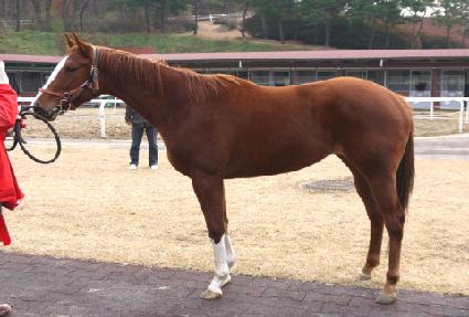 �ο��������� ����