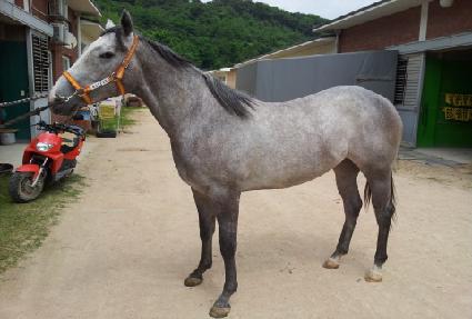 �ݳ���� ����