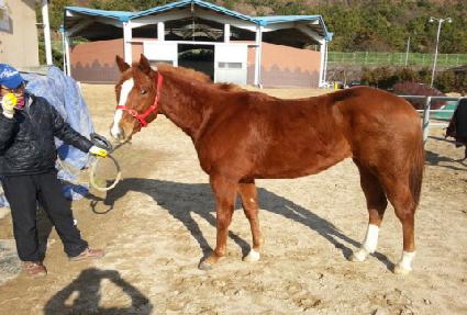 ��Ʈ���� ����