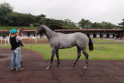 ��ǳ�η� ����