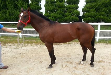 �����¡ ����