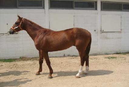 �ο����丣 ����