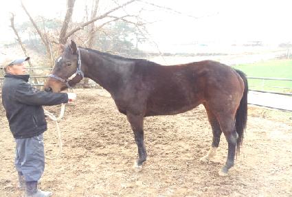 ������Ż�н� ����