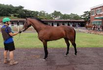 ���̵己 (JADE RUN) ����