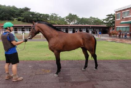 ���̵己 ����