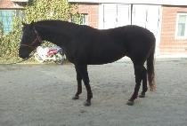 ���ѿ��� (SAMHAN YEONGUNG) ����