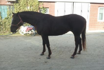 ���ѿ��� ����