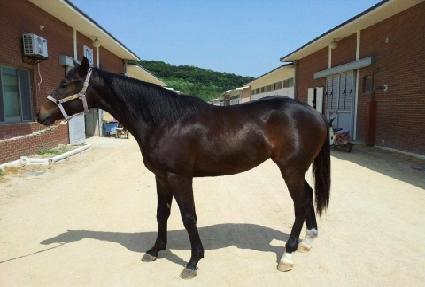 �ް��Ŀ� ����