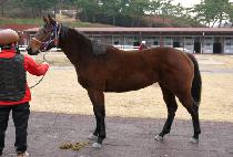 �ٴٽ¸� (BADA SEUNGNI) ����