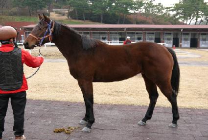 �ٴٽ¸� ����