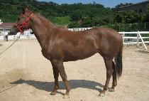 ������ġ (DOUBLE TOUCH) ����