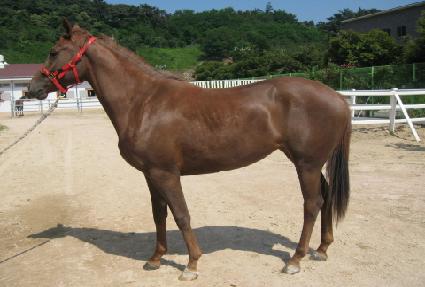 ������ġ ����