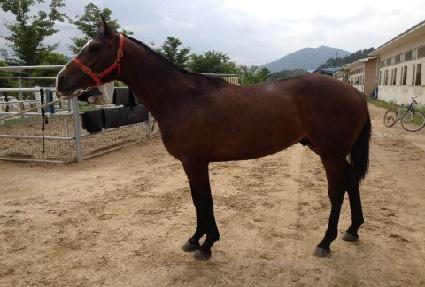 �׳��̿��� ����