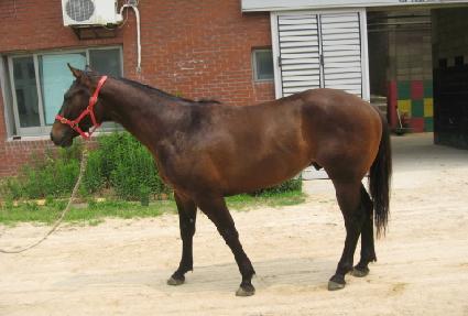 ���ڿ��ϵ�Ĺ ����