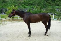 �۽�Ʈ��ġ (FIRST TOUCH) ����