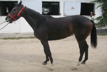 ������� ����