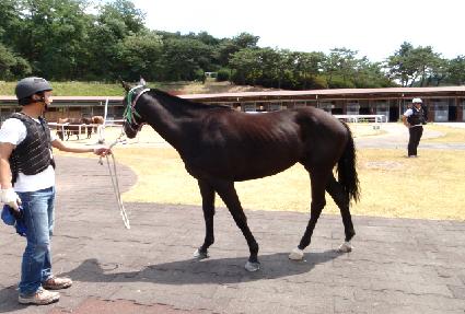 �������̵� ����