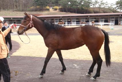 �����¾� ����