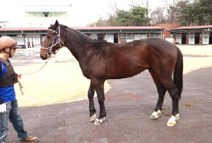 �ε��� ����