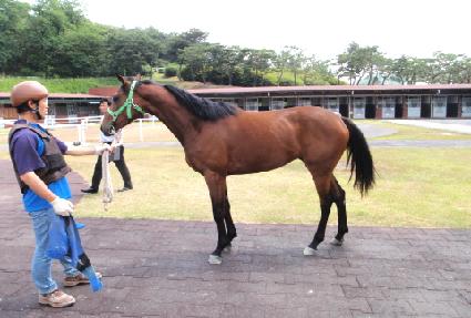 ����Ƽ�ε� ����