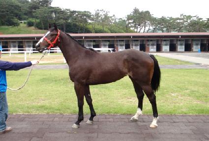 ����ź ����