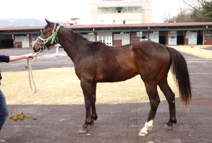 ��õ�� ����