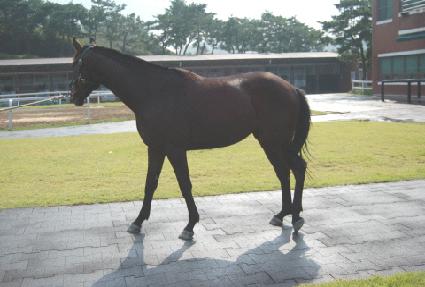 ���� ����