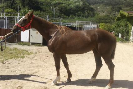 ����ε� ����