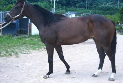 �����ο�ô� ����