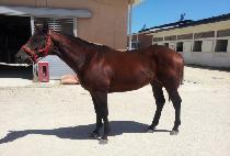 �����Ǽ��� (YEONGGWANGUISUNGAN) ����