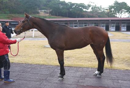 ������ ����