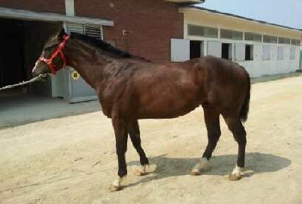 ���� ����