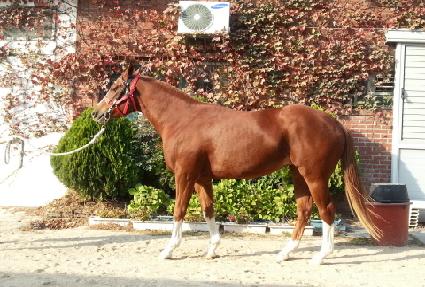 ��ٸ����̽� ����